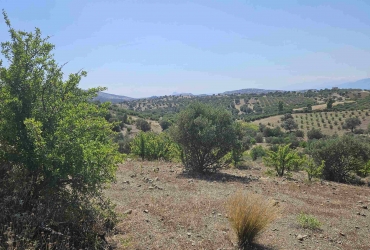 LAND PLOT 7500 m² FOR SALE IN LISTAROS