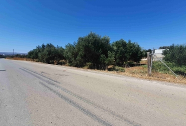 LAND PLOT 1100 m² FOR SALE IN TIMBAKI( ROAD OF KLIMA)