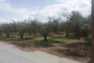 LAND PLOT 2.860 SQM FOR SALE IN KAPPARIANA