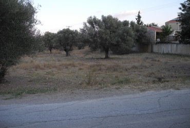 LAND PLOT 4.000 m² FOR SALE IN MIRES