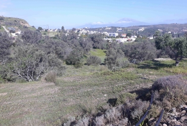 LAND PLOT 2.000 m² FOR SALE IN PITSIDIA