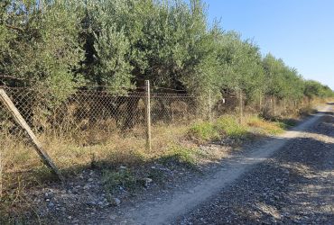 LAND PLOT 4.000 m² FOR SALE IN TYMPAKI
