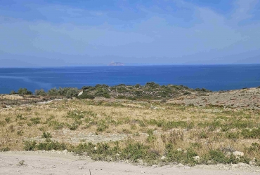 LAND PLOT 24.000 m² FOR SALE IN PITSIDIA