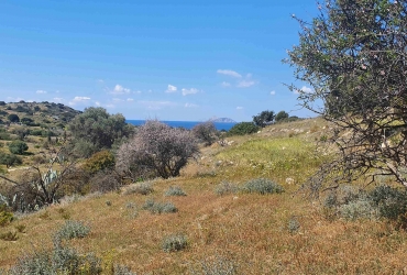 LAND PLOT 4.800 m² FOR SALE IN PITSIDIA (KOMMOS)