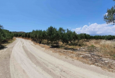 LAND PLOT 2.000 m² FOR SALE IN KAMILARI (WITH TWO BUILDING PERMITS)