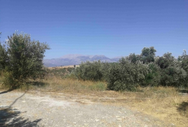 LAND PLOT 2297 m² FOR SALE IN LISTAROS