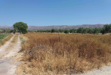AGRICULTURAL LAND PLOT 2700 m² FOR SALE IN KAPPARIANA
