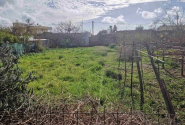 LAND PLOT 475 SQM FOR SALE IN TIMBAKI